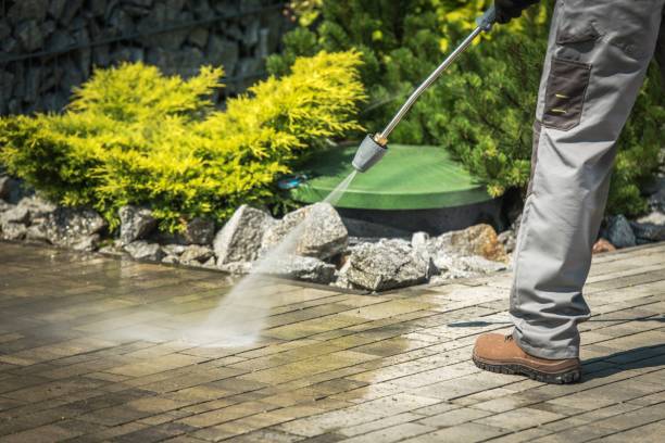 Best Solar Panel Cleaning  in South Sioux City, NE