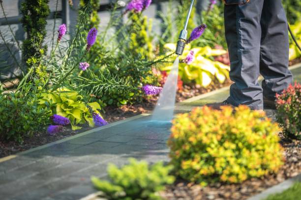 Best Sidewalk and Walkway Cleaning  in South Sioux City, NE